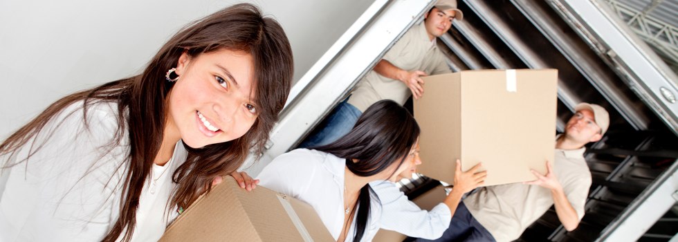 Professional Removalists Jollys Lookout